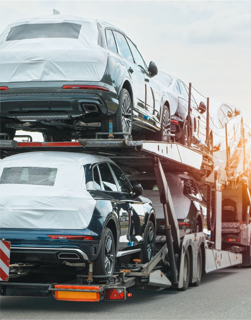 Fahrzeugsuche im Ausland mit Fokus auf Spanien